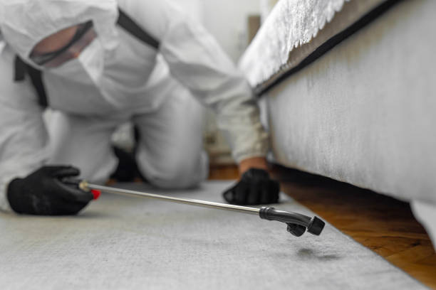 Professional Bed Bug Control technician working in Middle Island, NY